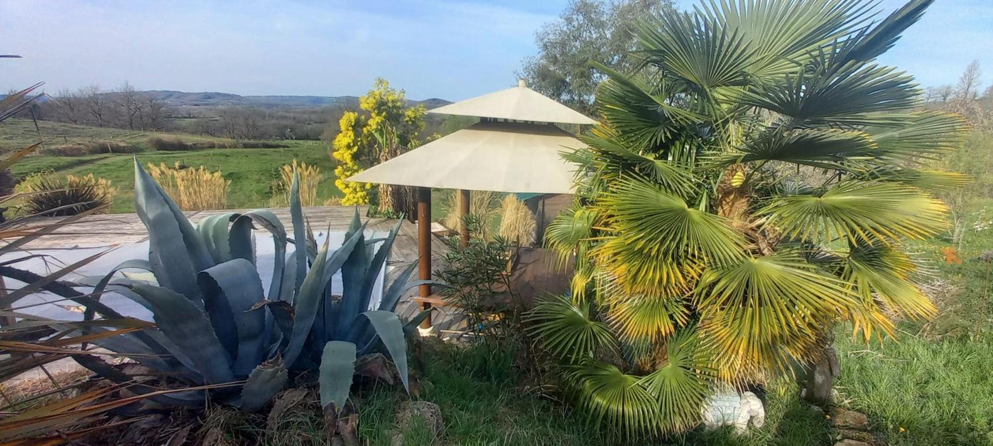 Un Parfum De Thailande, Ressourcement Et Massages Curemonte Eksteriør billede